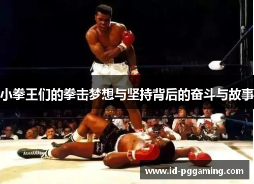 小拳王们的拳击梦想与坚持背后的奋斗与故事