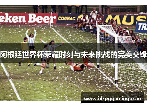 阿根廷世界杯荣耀时刻与未来挑战的完美交锋
