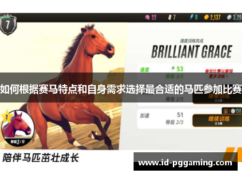 如何根据赛马特点和自身需求选择最合适的马匹参加比赛