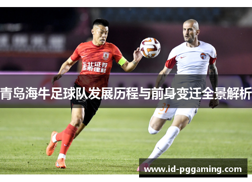 青岛海牛足球队发展历程与前身变迁全景解析
