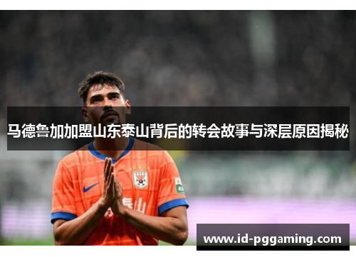 马德鲁加加盟山东泰山背后的转会故事与深层原因揭秘