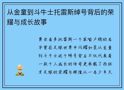 从金童到斗牛士托雷斯绰号背后的荣耀与成长故事 从金童到斗牛士托雷斯绰号背后的荣耀与成长故事