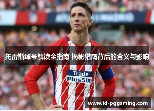 托雷斯绰号解读全指南 揭秘猎鹰背后的含义与影响 托雷斯绰号解读全指南 揭秘猎鹰背后的含义与影响